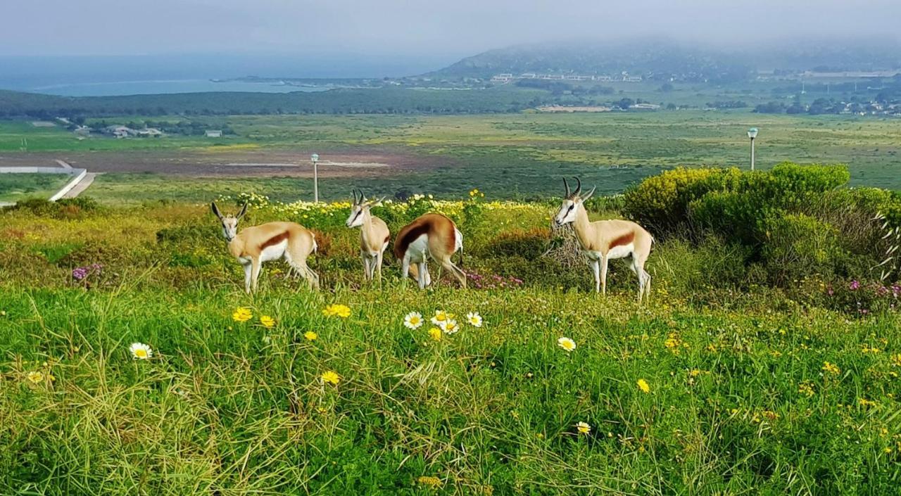 Berg En Dal Accommodation Saldanha Bay Экстерьер фото